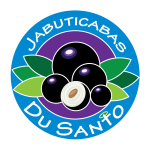 Logo DuSanto